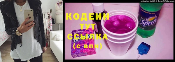 мдпв Бронницы