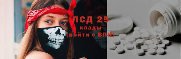 индика Ступино