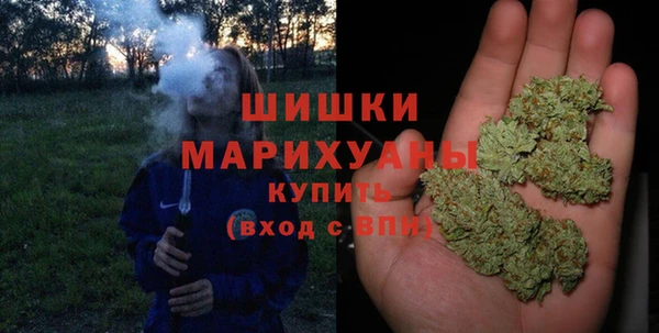 индика Ступино
