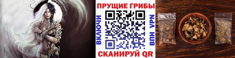 закладки  Малаховка  Псилоцибиновые грибы ЛСД 
